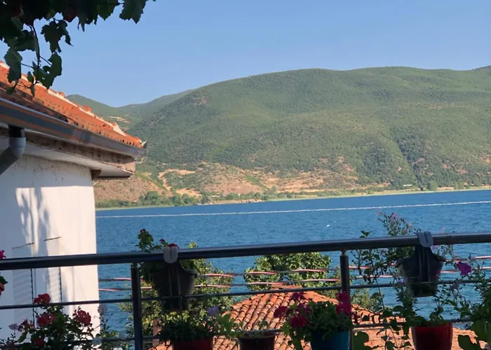 Guest house Dejani 3*