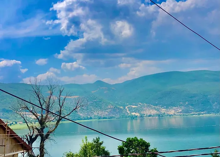 Dejani Guest house 3*