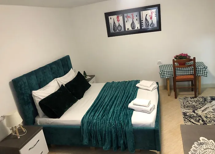 Guest house Dejani Lin